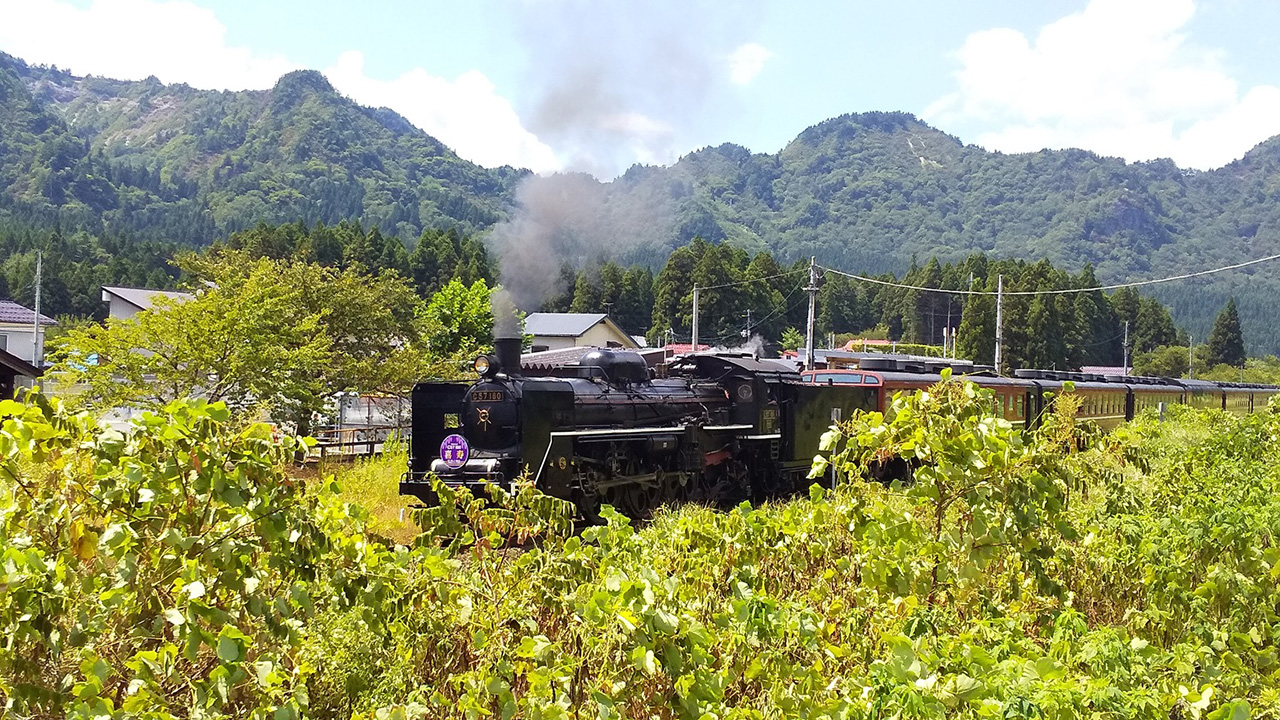 スライド画像